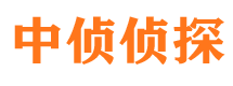 长江新区市侦探调查公司